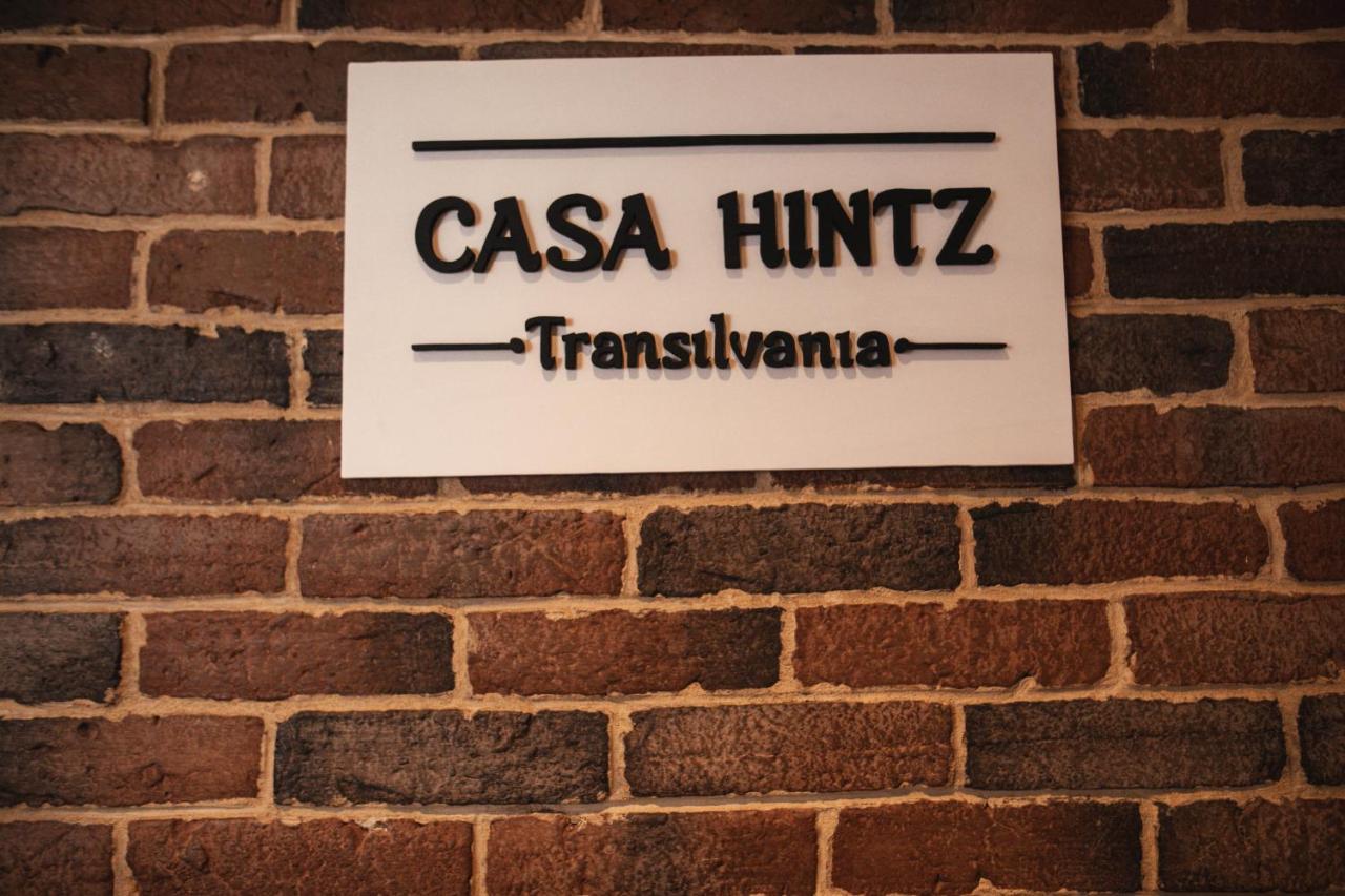 Casa Hintz Transilvania Fagaras Exterior foto
